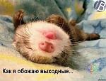     
: 8szkklE0tkA.jpg
: 12
:	60.5 
ID:	10039859