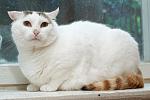     
: DSC_3886.jpg
: 41
:	96.5 
ID:	10040032