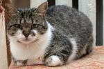     
: DSC_3881.jpg
: 46
:	132.0 
ID:	10040033