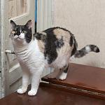     
: DSC_3872.jpg
: 39
:	100.0 
ID:	10040035