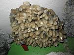     
: IMG_1937.jpg
: 73
:	157.8 
ID:	1004111