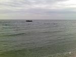     
: 16995_769230586522782_6097937598073178950_n.jpg
: 51
:	50.0 
ID:	10041298