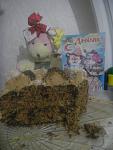     
: DSCN4070.jpg
: 54
:	77.5 
ID:	10042152