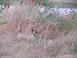     
: DSCN7845.jpg
: 507
:	190.7 
ID:	10042533