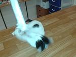     
: 2015-07-04 17.05.55.jpg
: 17
:	89.3 
ID:	10043720