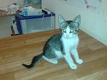     
: 2015-07-04 17.20.33.jpg
: 16
:	106.6 
ID:	10043723