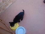     
: erOFUd3Cc3I.jpg
: 10
:	151.2 
ID:	10049568