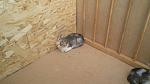     
: gN1uHeR0g-k.jpg
: 7
:	171.5 
ID:	10049569