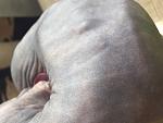     
: IMG_2513.JPG
: 15
:	242.7 
ID:	10053105