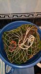     
: IMG_20150709_074706.jpg
: 45
:	76.7 
ID:	10054626