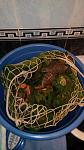     
: IMG_20150709_074717.jpg
: 42
:	71.3 
ID:	10054627