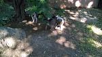     
: WP_20150709_08_57_09_Pro.jpg
: 6
:	165.3 
ID:	10054919
