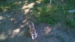     
: WP_20150709_08_56_26_Pro.jpg
: 18
:	166.8 
ID:	10055049