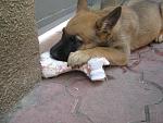     
: IMG_5494.jpg
: 13
:	142.1 
ID:	10061221