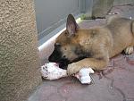     
: IMG_5493.jpg
: 11
:	163.4 
ID:	10061226