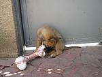     
: IMG_5475.jpg
: 14
:	113.7 
ID:	10061232