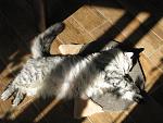     
: IMG_4126.jpg
: 18
:	162.4 
ID:	10062727