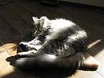     
: IMG_4123.jpg
: 18
:	148.6 
ID:	10062728