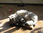     
: IMG_4119.jpg
: 19
:	156.2 
ID:	10062729