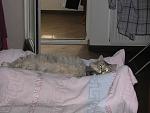     
: IMG_4116.jpg
: 19
:	118.9 
ID:	10062733