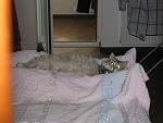     
: IMG_4115.jpg
: 23
:	120.0 
ID:	10062734