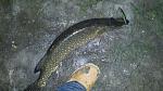    
: 20150119_034140.jpg
: 155
:	128.1 
ID:	10063401