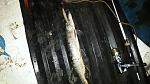     
: 20150122_051925.jpg
: 178
:	113.7 
ID:	10063403