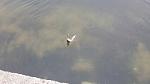     
: 20141205_084407.jpg
: 154
:	38.2 
ID:	10063407