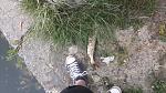     
: 20150614_050244.jpg
: 184
:	109.0 
ID:	10063408