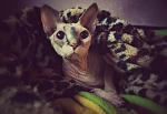     
: IMG_20150704_115641-02.jpg
: 15
:	53.2 
ID:	10063781