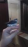     
: IMG_20150707_221054.jpg
: 13
:	54.4 
ID:	10064751