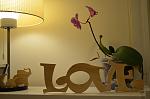     
: DSC_0116.jpg
: 29
:	67.2 
ID:	10064889
