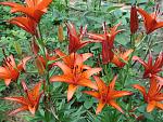     
: DSC03582.jpg
: 6
:	210.4 
ID:	10065835