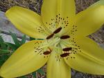     
: DSC03574.jpg
: 10
:	83.8 
ID:	10065848