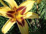     
: DSC03598.jpg
: 7
:	146.7 
ID:	10065869