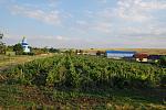     
: DSC_0420.jpg
: 362
:	163.6 
ID:	10070271