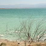    
: IMG_6194.jpg
: 19
:	165.9 
ID:	10070452