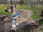     
: DSC00964.jpg
: 303
:	198.6 
ID:	10073703