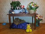    
: 20140308_221404.jpg
: 9
:	127.6 
ID:	10078202