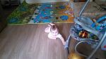     
: IMG_20150716_152644_542.jpg
: 79
:	98.7 
ID:	10079400