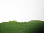     
: IMG_7283.jpg
: 63
:	53.3 
ID:	1007964