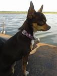     
: 20150504_160113.jpg
: 20
:	68.9 
ID:	10080625