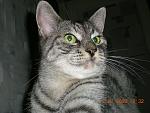     
: Фото 846.jpg
: 20
:	180.5 
ID:	10082236