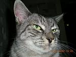    
: Фото 853.jpg
: 17
:	192.4 
ID:	10082237