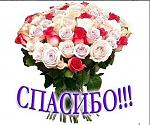     
: bbbbbbbbbbbbbbbbbb.jpg
: 27
:	31.6 
ID:	10085544
