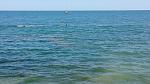     
: DSC_0289.jpg
: 46
:	132.7 
ID:	10087727