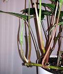     
: 20150719_224751.jpg
: 27
:	121.4 
ID:	10088979