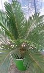     
: IMAG0820.jpg
: 6
:	133.8 
ID:	10092907