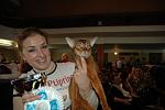     
: Moscow 040.JPG
: 18
:	32.6 
ID:	1009401