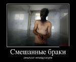     
: 1422851451_demotivatory-290.jpg
: 18
:	51.8 
ID:	10096338